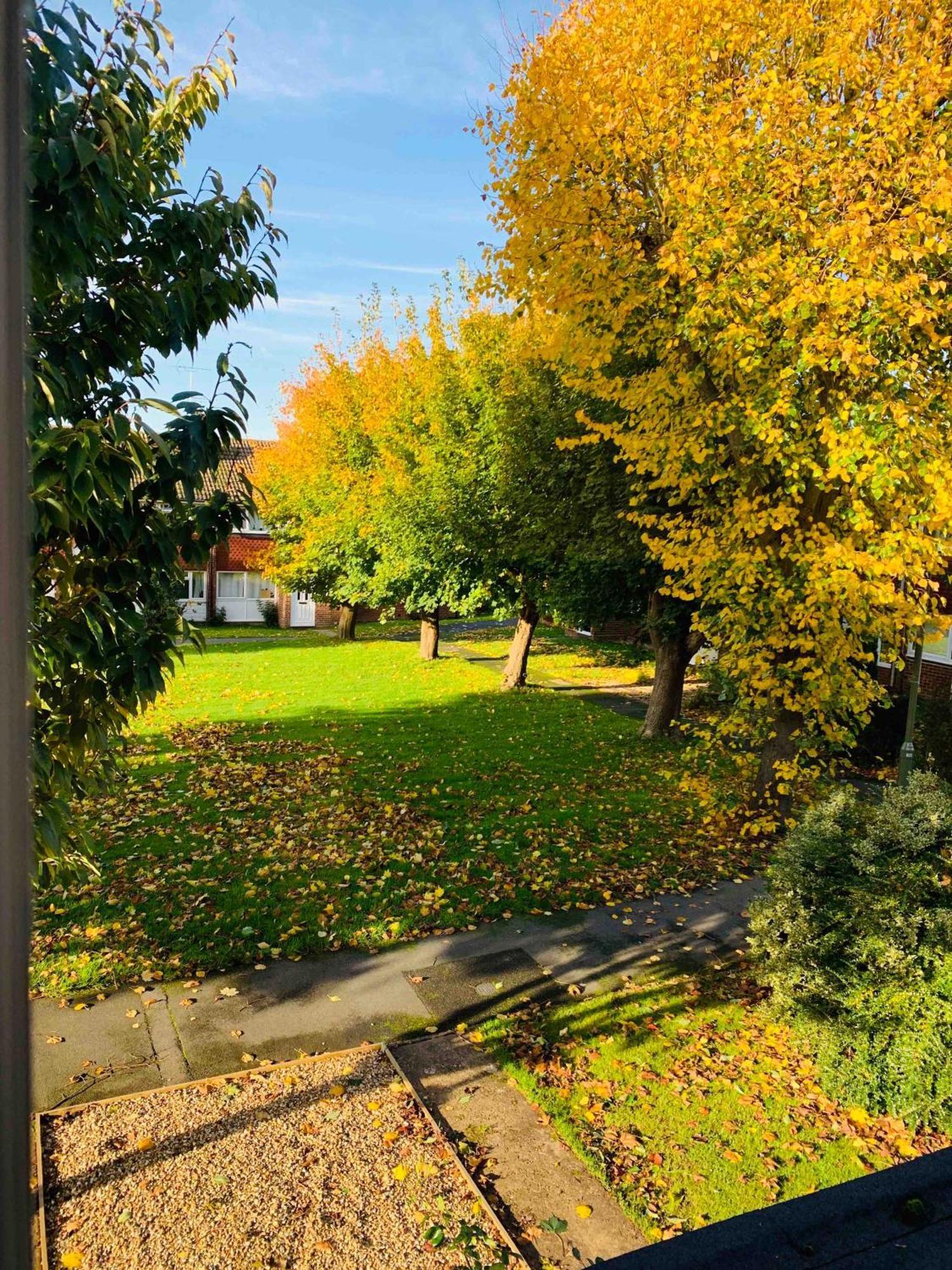 Spacious House, Free Parking & Patio Garden Фарнем Экстерьер фото